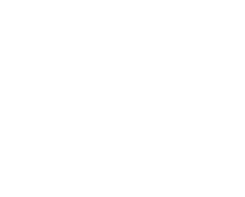 Ronin Creative Studios